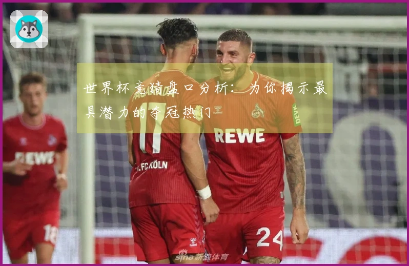 世界杯竞猜盘口分析：为你揭示最具潜力的夺冠热门