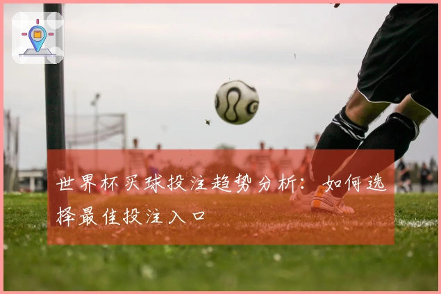 世界杯买球投注趋势分析：如何选择最佳投注入口