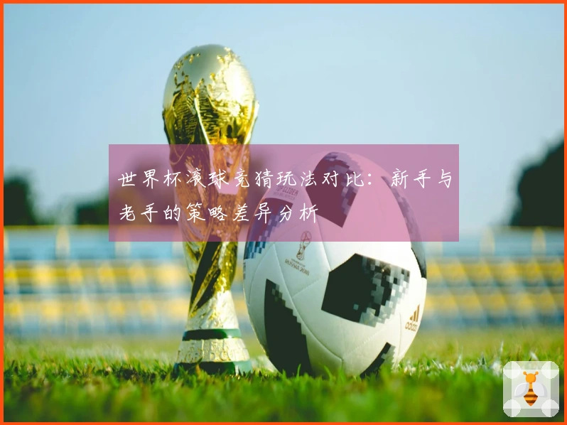 世界杯滚球竞猜玩法对比：新手与老手的策略差异分析