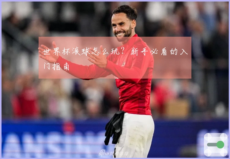 世界杯滚球怎么玩？新手必看的入门指南
