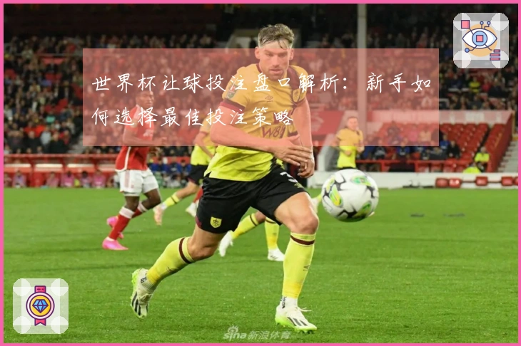 世界杯让球投注盘口解析：新手如何选择最佳投注策略