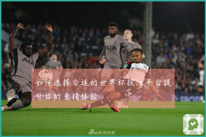 如何选择合适的世界杯投注平台提升你的竞猜体验