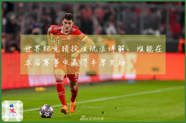 世界杯竞猜投注玩法详解，谁能在本届赛事中赢得丰厚奖励