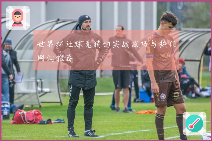 世界杯让球竞猜的实战技巧与热门网站推荐
