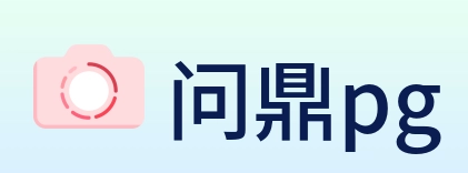 问鼎pg Logo